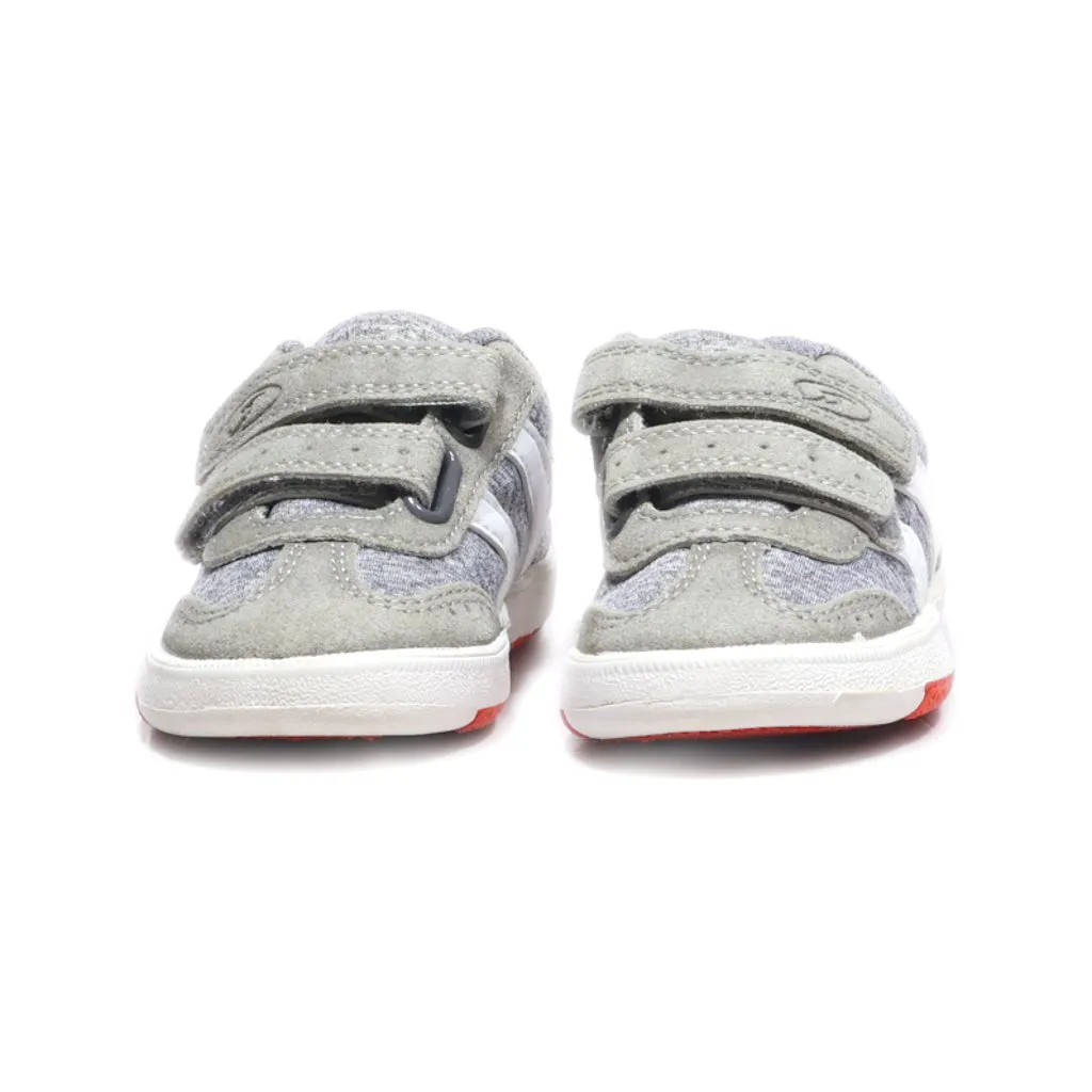 Dr. Scholl'S Crawlers Leather Grey Colour For Kids