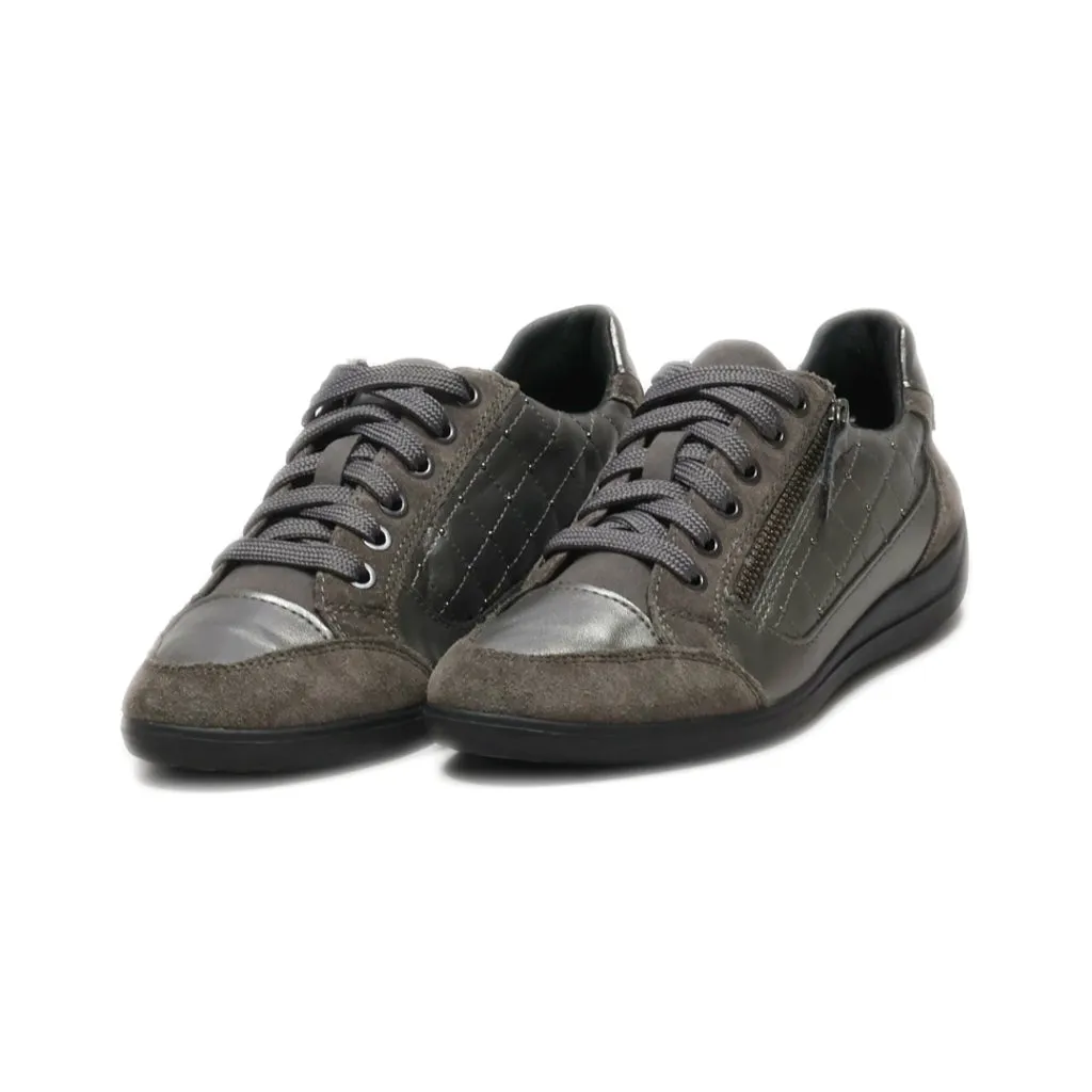 Geox Lace Ups Suede Grey Colour For Women