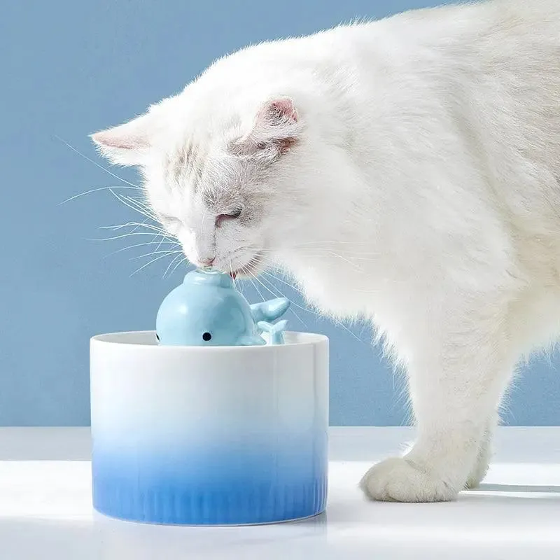 Little Whale Ceramic Pet Water Fountain – Stylish and Functional Cat Water Fountain