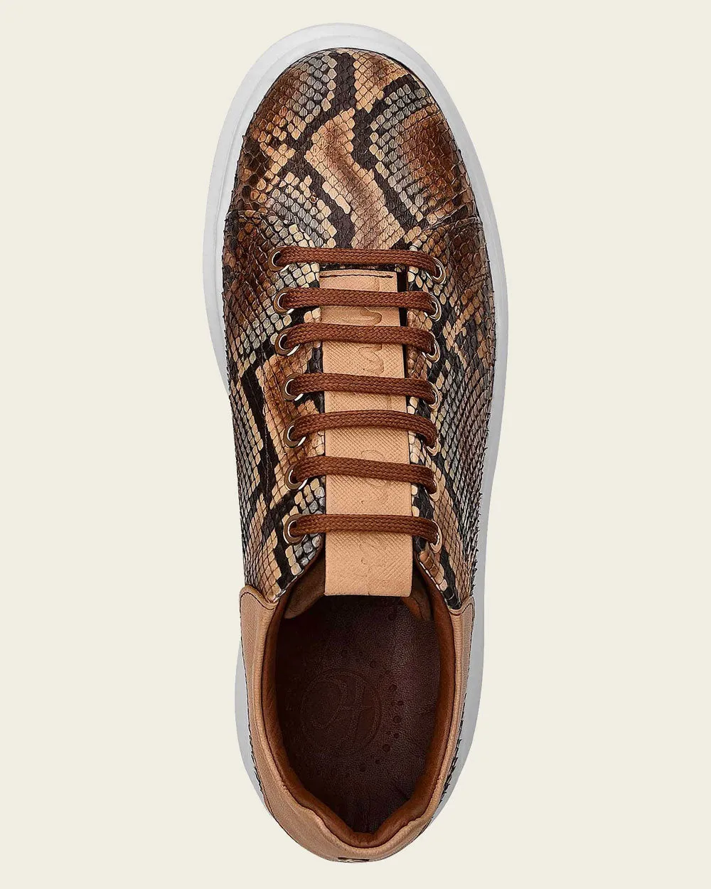 Sneakers brown exotic leather